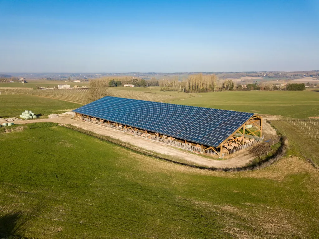 découvrez comment profiter d'un hangar photovoltaïque gratuit en 2025 ! optimisez votre espace tout en produisant de l'énergie renouvelable. ne manquez pas cette opportunité pour allier économies d'énergie et respect de l'environnement.