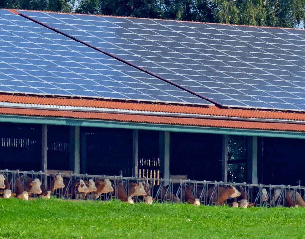 découvrez comment bénéficier d'un hangar photovoltaïque gratuit en 2025. profitez des avantages de l'énergie solaire tout en réduisant vos coûts d'exploitation. informez-vous sur les subventions et les initiatives pour soutenir votre transition énergétique dès maintenant.