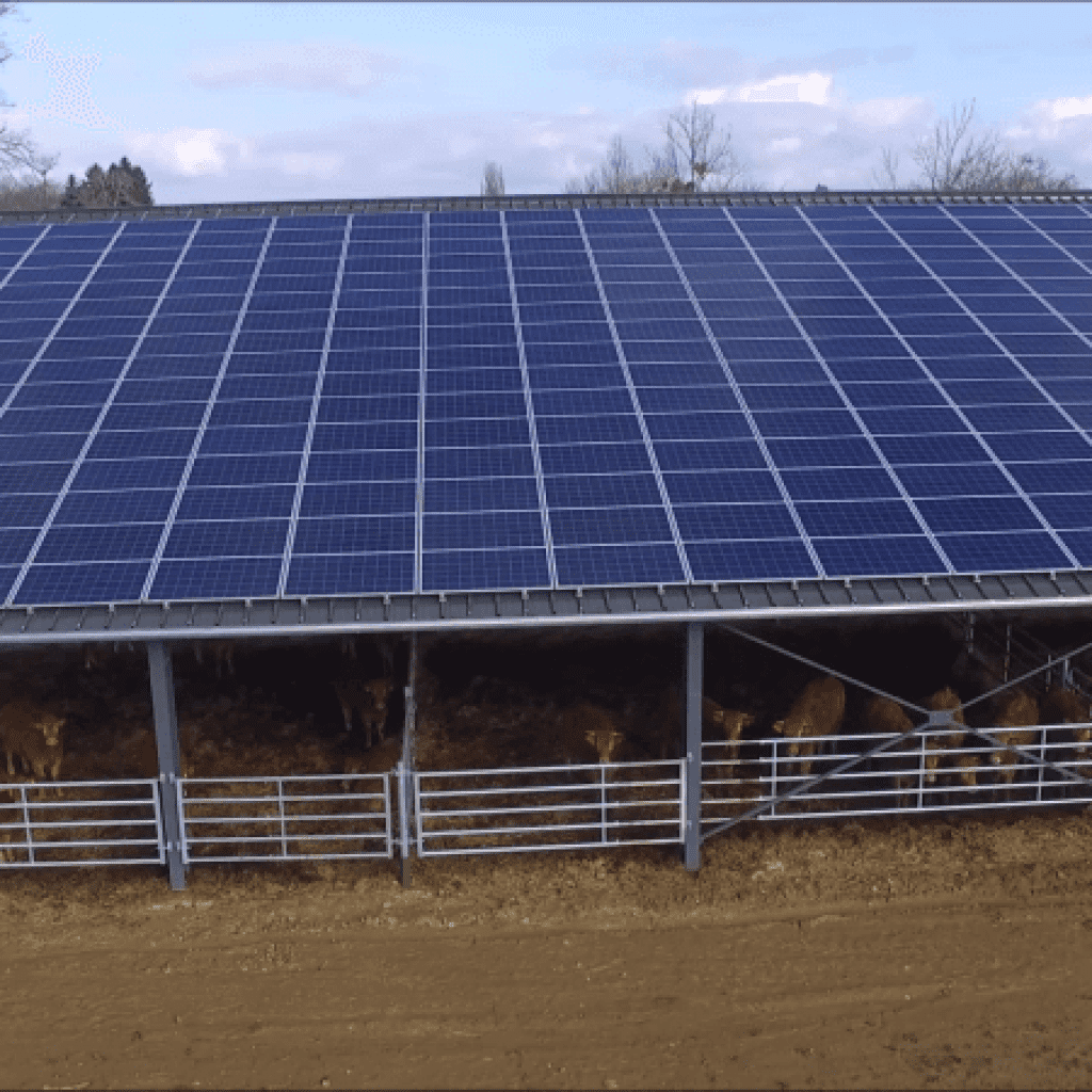 découvrez notre guide complet sur les hangars photovoltaïques (pv), une solution innovante pour optimiser l'espace tout en produisant de l'électricité verte. apprenez comment ces structures allient praticité et durabilité, tout en contribuant à la transition énergétique.