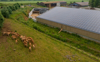 découvrez notre hangar solaire de 200m2, idéal pour optimiser l'espace tout en profitant d'une solution énergétique écologique. parfait pour le stockage, les activités industrielles ou agricoles, ce hangar innovant allie fonctionnalité et respect de l'environnement.