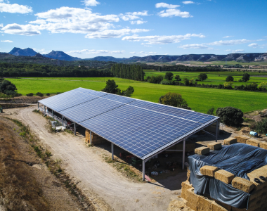 découvrez notre hangar solaire de 300 kwc, une solution innovante et durable pour optimiser votre production d'énergie. profitez d'une structure robuste tout en réduisant votre empreinte carbone et vos coûts d'électricité.