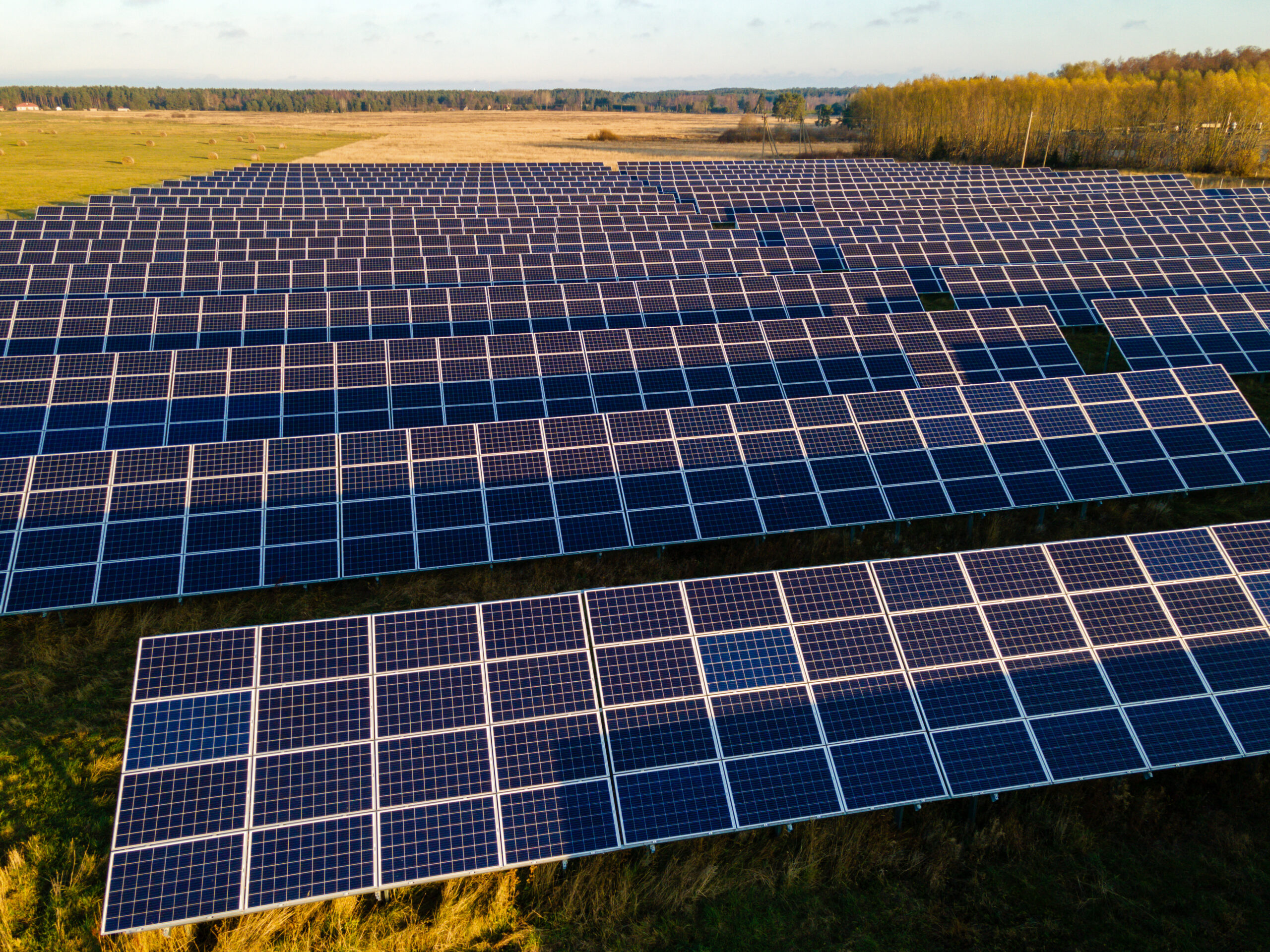 découvrez l'impact des panneaux solaires sur l'environnement et l'économie. apprenez comment cette technologie durable contribue à réduire les émissions de carbone, à diminuer les factures d'énergie et à promouvoir un avenir énergétique plus propre.