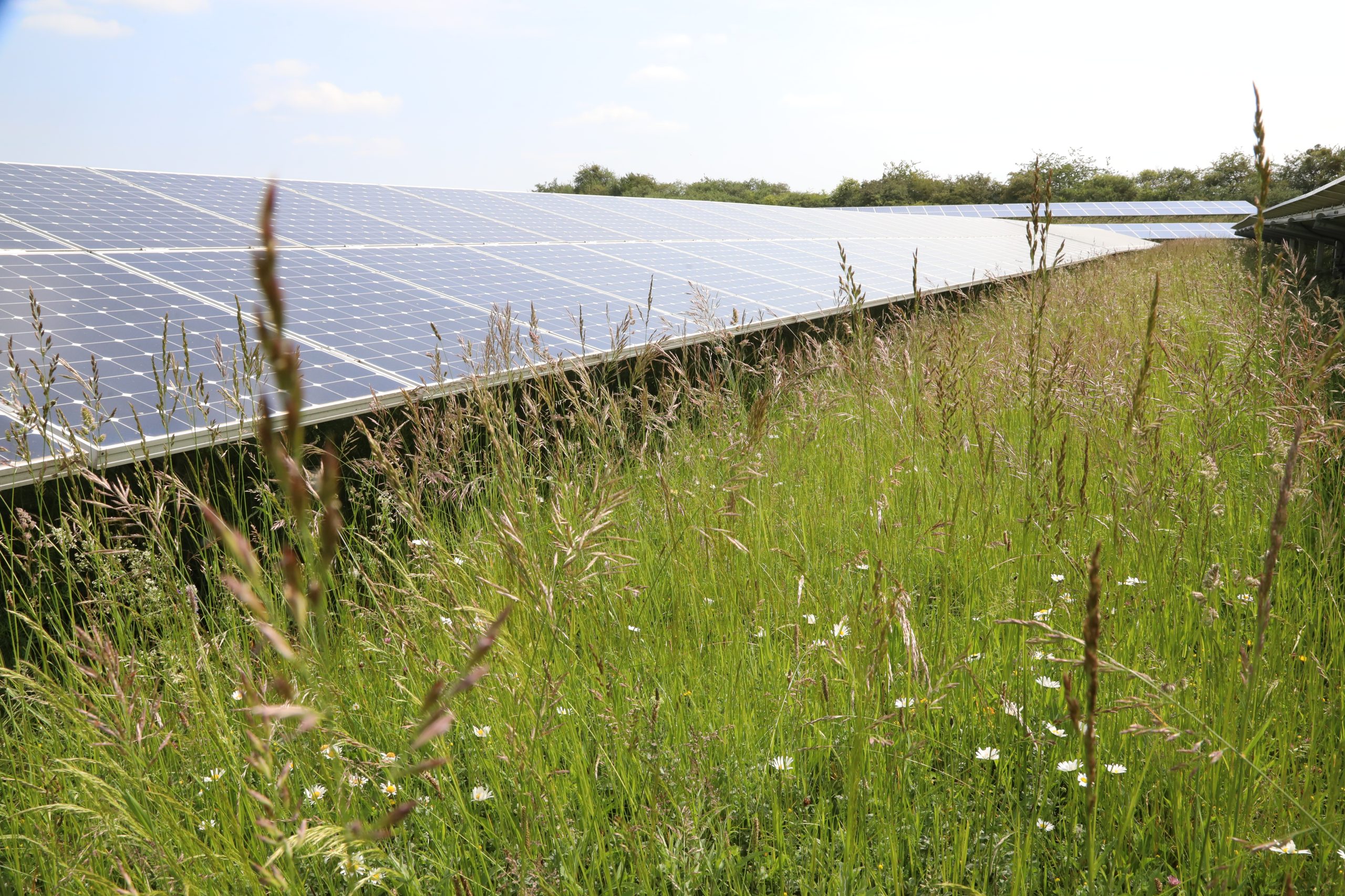 découvrez le cadastre solaire, un outil innovant qui vous permet d'évaluer le potentiel solaire de votre toiture. informez-vous sur les performances énergétiques et les économies d'énergie possibles grâce à une installation solaire adaptée à votre habitation.
