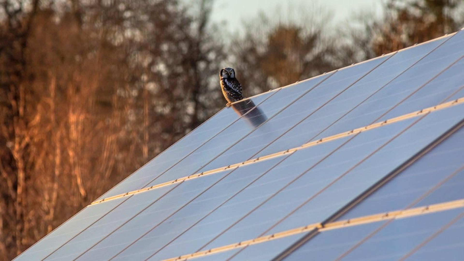 découvrez les inconvénients de l'énergie solaire, notamment les coûts d'installation élevés, la dépendance aux conditions météorologiques et les défis de l'espace dans l'installation de panneaux solaires. informez-vous sur les limites de cette source d'énergie renouvelable.