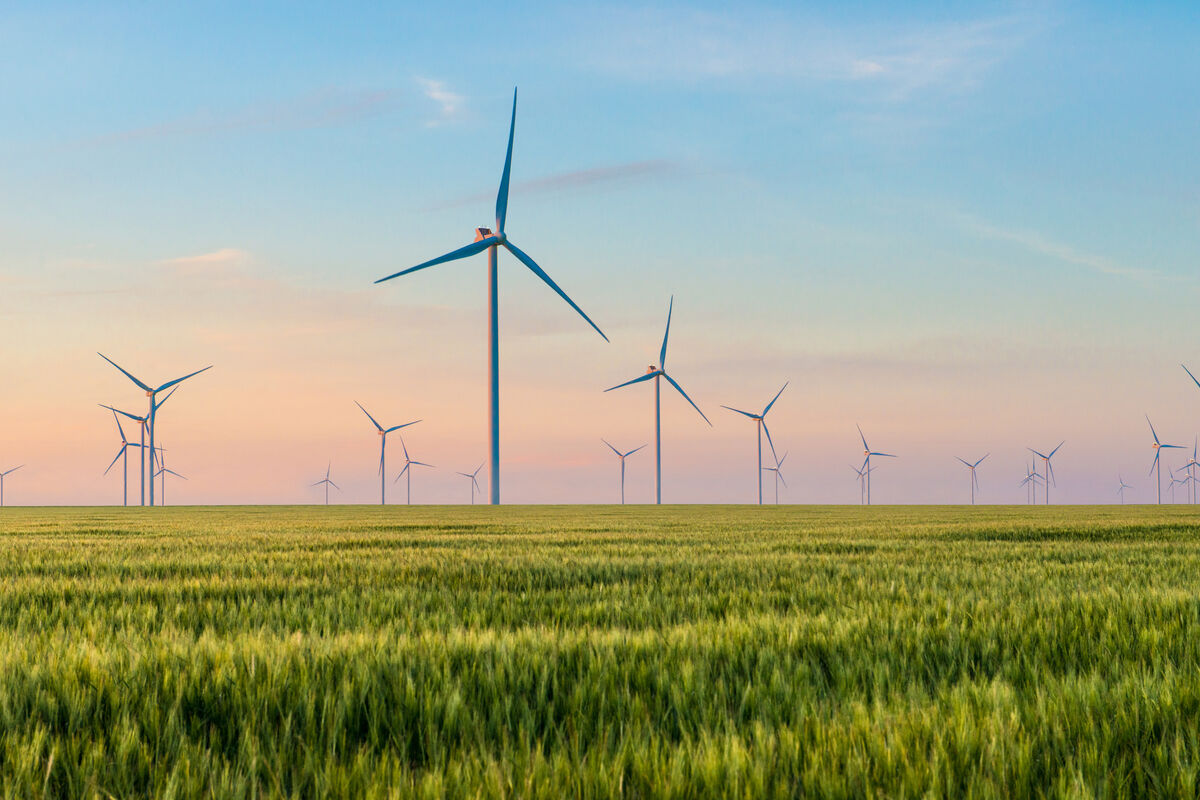 découvrez les principaux inconvénients de l'énergie éolienne, de son impact visuel à ses effets sur la faune et la flore, en passant par les défis économiques liés à sa mise en œuvre. informez-vous sur les aspects négatifs de cette source d'énergie renouvelable.