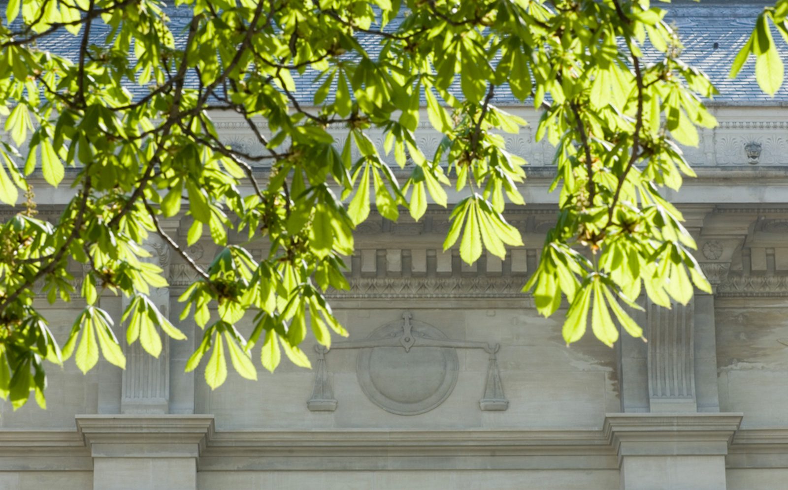 découvrez infogreffe avignon, votre guichet unique pour toutes les informations légales sur les entreprises de la région. accédez facilement aux documents officiels, aux annonces judiciaires et aux données financières pour soutenir vos projets d'affaires.