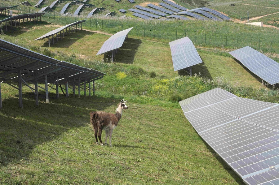 découvrez les meilleurs installateurs de panneaux photovoltaïques en corse pour un passage à l'énergie solaire efficace. profitez d'une expertise locale et d'un service sur mesure pour optimiser votre autonomie énergétique et réduire vos factures d'électricité.