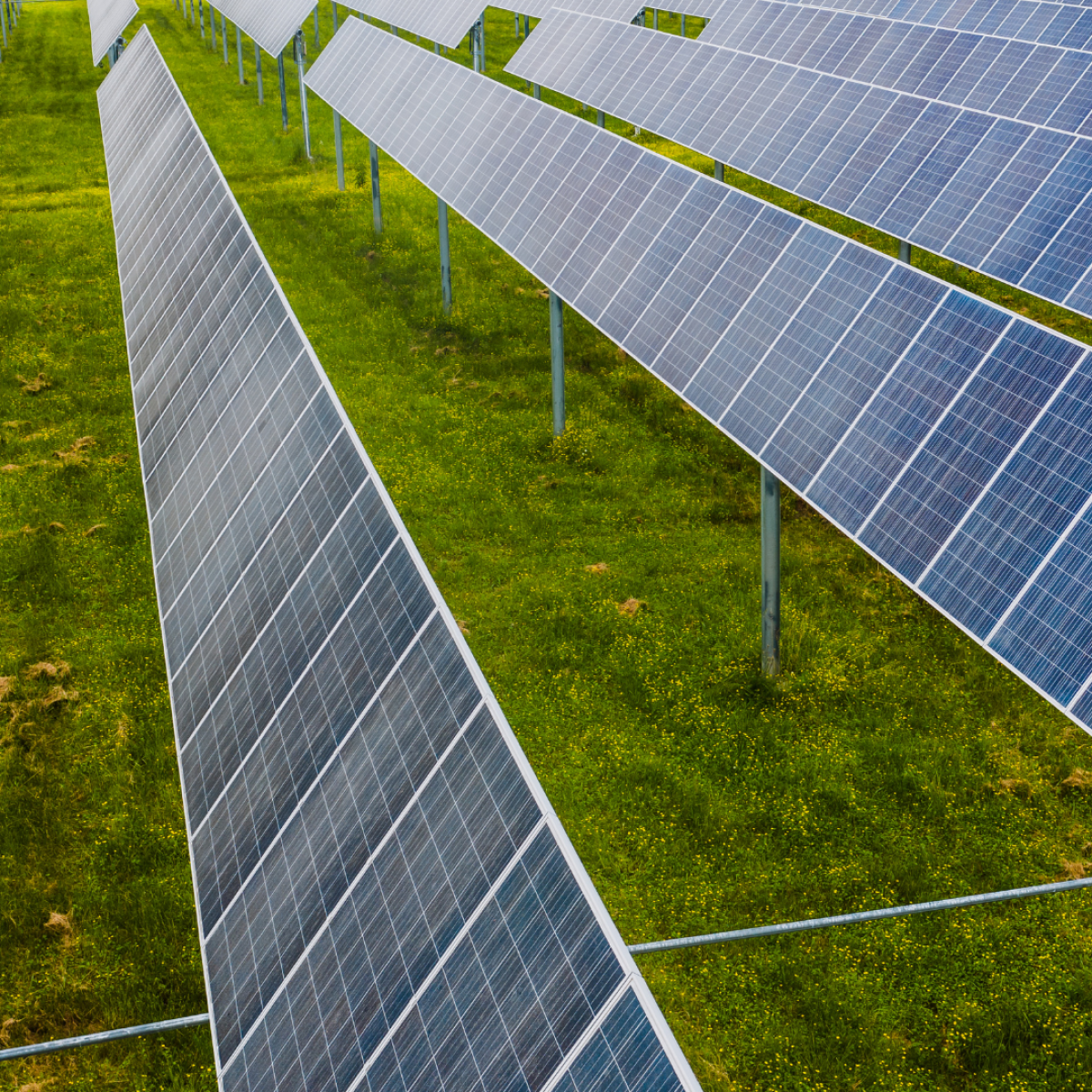 découvrez les services d'un installateur rge pour vos panneaux solaires. bénéficiez d'une expertise reconnue, d'une installation professionnelle et de solutions écologiques qui vous permettent de réaliser des économies d'énergie tout en respectant les normes environnementales.