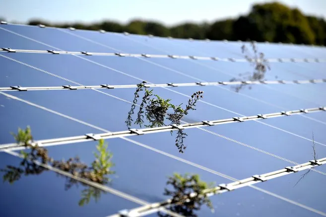 découvrez les dernières actualités et avancées dans le domaine de l'énergie solaire avec notre journal photovoltaïque. restez informé sur les innovations, les tendances du marché et les études de cas concernant les technologies et les applications des panneaux solaires.