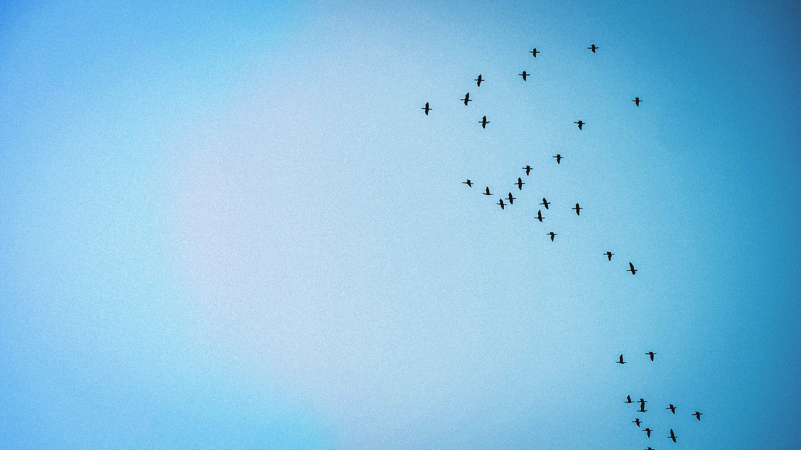 découvrez krannich, votre spécialiste en solutions photovoltaïques, offrant des produits de haute qualité et un service client exceptionnel pour vous accompagner dans votre transition énergétique.