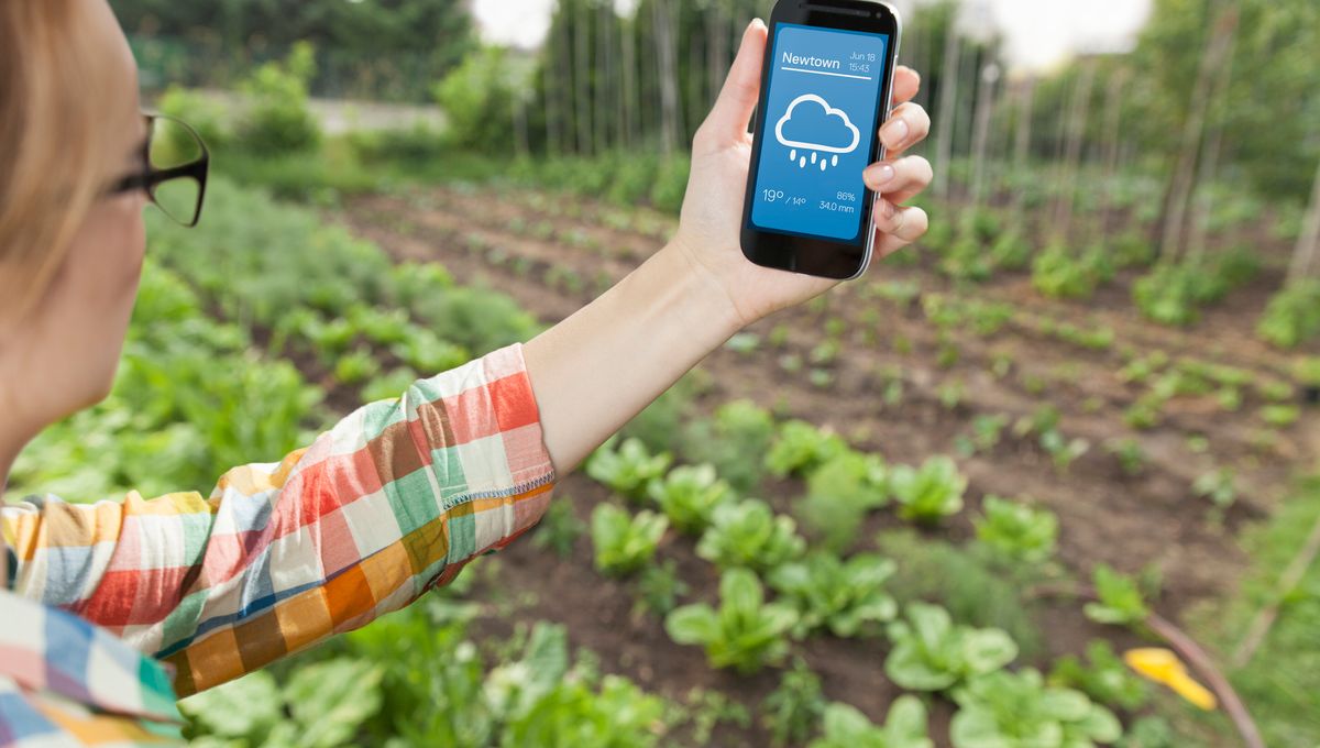 découvrez les prévisions météorologiques précises pour l'agriculture. obtenez des informations essentielles pour optimiser vos cultures et anticiper les conditions climatiques.