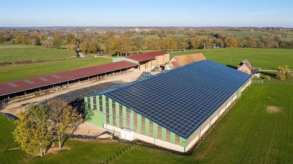 découvrez les leaders du secteur photovoltaïque, leurs innovations, leurs technologies de pointe et leur impact sur la transition énergétique. explorez comment ces entreprises façonnent l'avenir de l'énergie solaire.