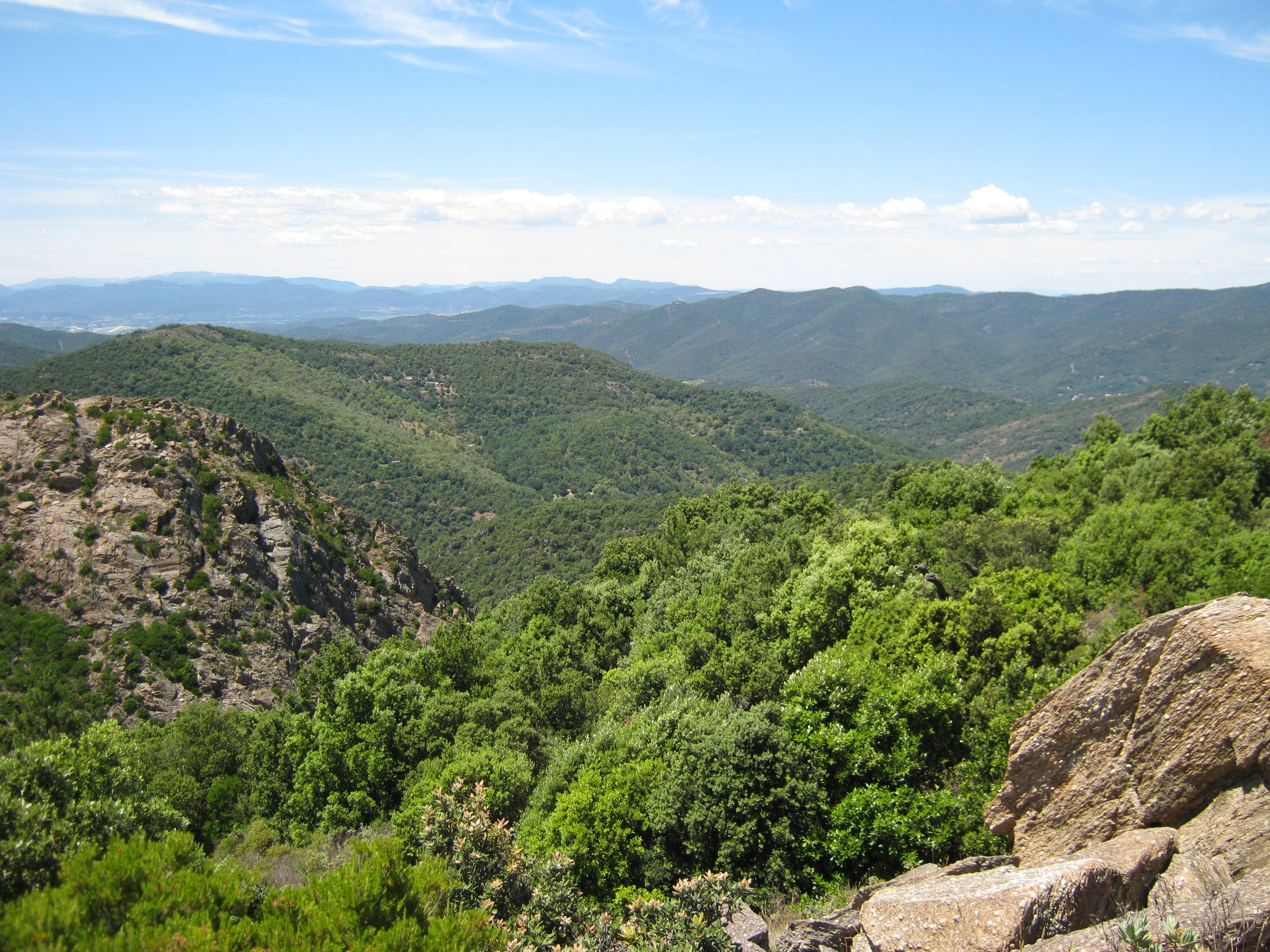 découvrez notre liste verte, une sélection d'initiatives écologiques et durables pour un mode de vie respectueux de l'environnement. explorez des astuces, des conseils et des ressources pour adopter un quotidien plus éco-responsable.