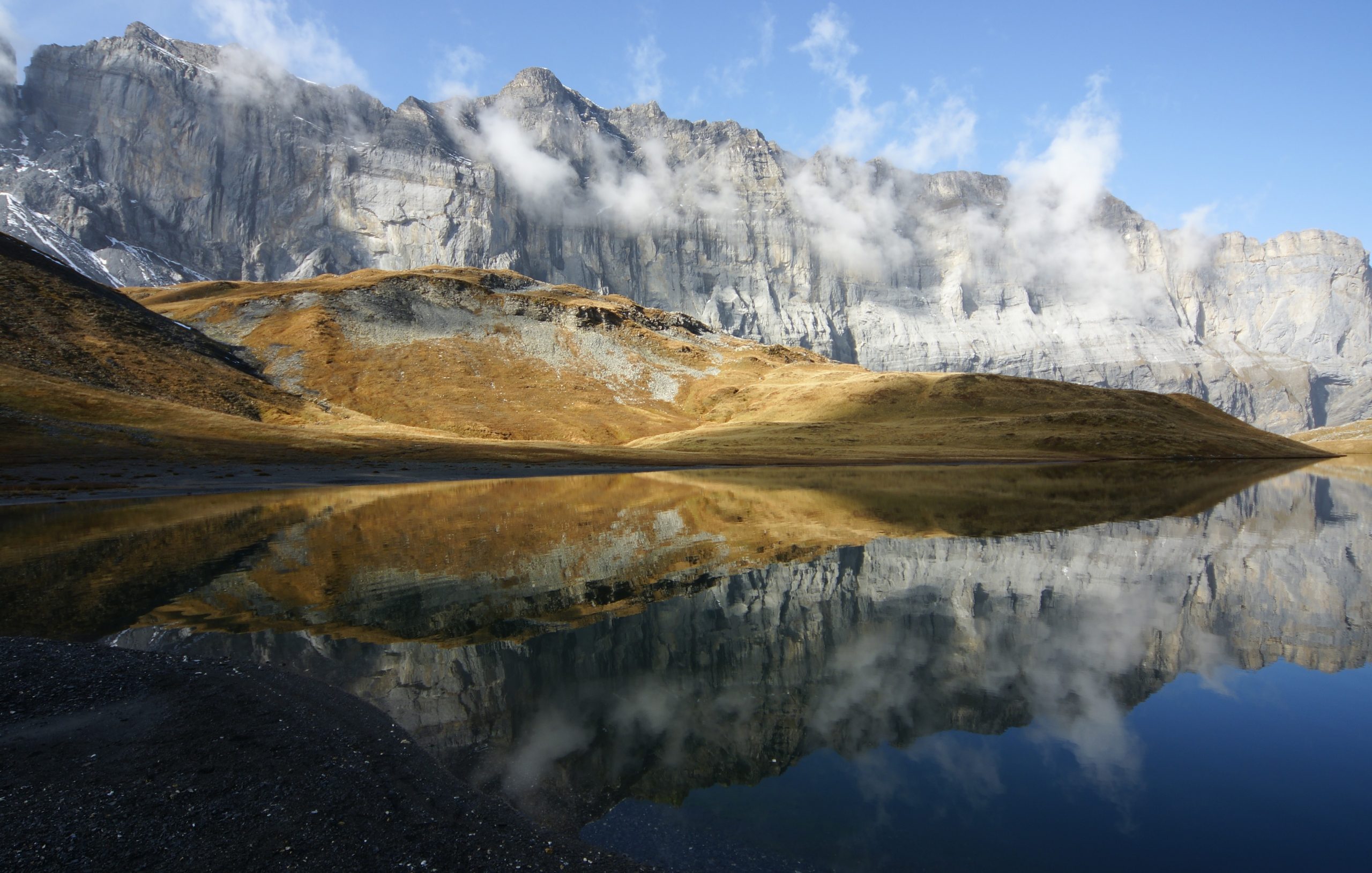 découvrez notre liste verte, un guide incontournable des initiatives écologiques et des pratiques durables. explorez des conseils pour un mode de vie respectueux de l'environnement et contribuez à la préservation de notre planète.