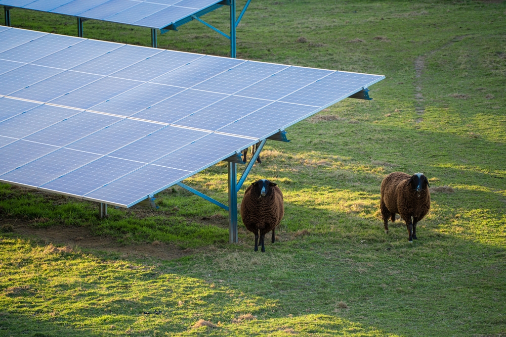 découvrez nos offres de location de terrains pour l'installation de panneaux photovoltaïques. optimisez votre espace tout en contribuant à la transition énergétique et bénéficiez d'un revenu passif grâce à l'exploitation de l'énergie solaire.