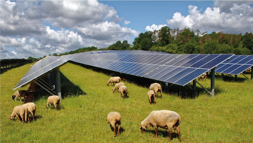 découvrez nos offres de terrains photovoltaïques adaptés à vos projets d'énergie renouvelable. optimisez votre investissement en exploitant le potentiel solaire avec des emplacements stratégiques et des conseils experts.
