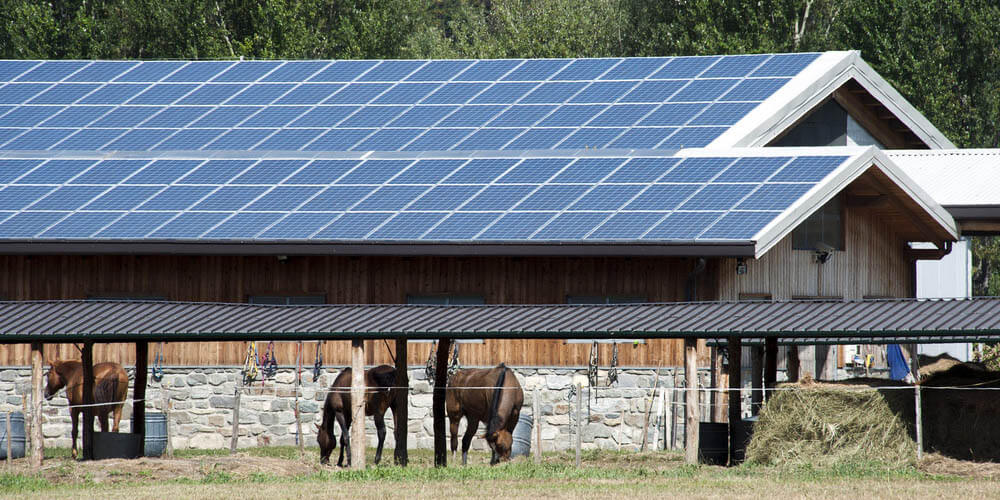 découvrez le manège solaire, une attraction innovante qui allie amusement et énergies renouvelables. profitez d'une expérience unique tout en contribuant à la protection de l'environnement grâce à cette attraction respectueuse de la planète.