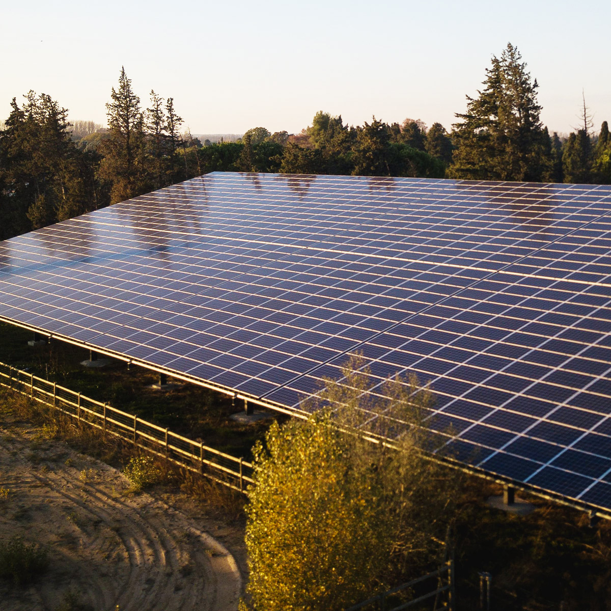 découvrez notre manège solaire, une attraction écoresponsable qui allie plaisir et respect de l'environnement. profitez d'une expérience de promenade unique, propulsée par l'énergie solaire, pour petits et grands au cœur de la nature.