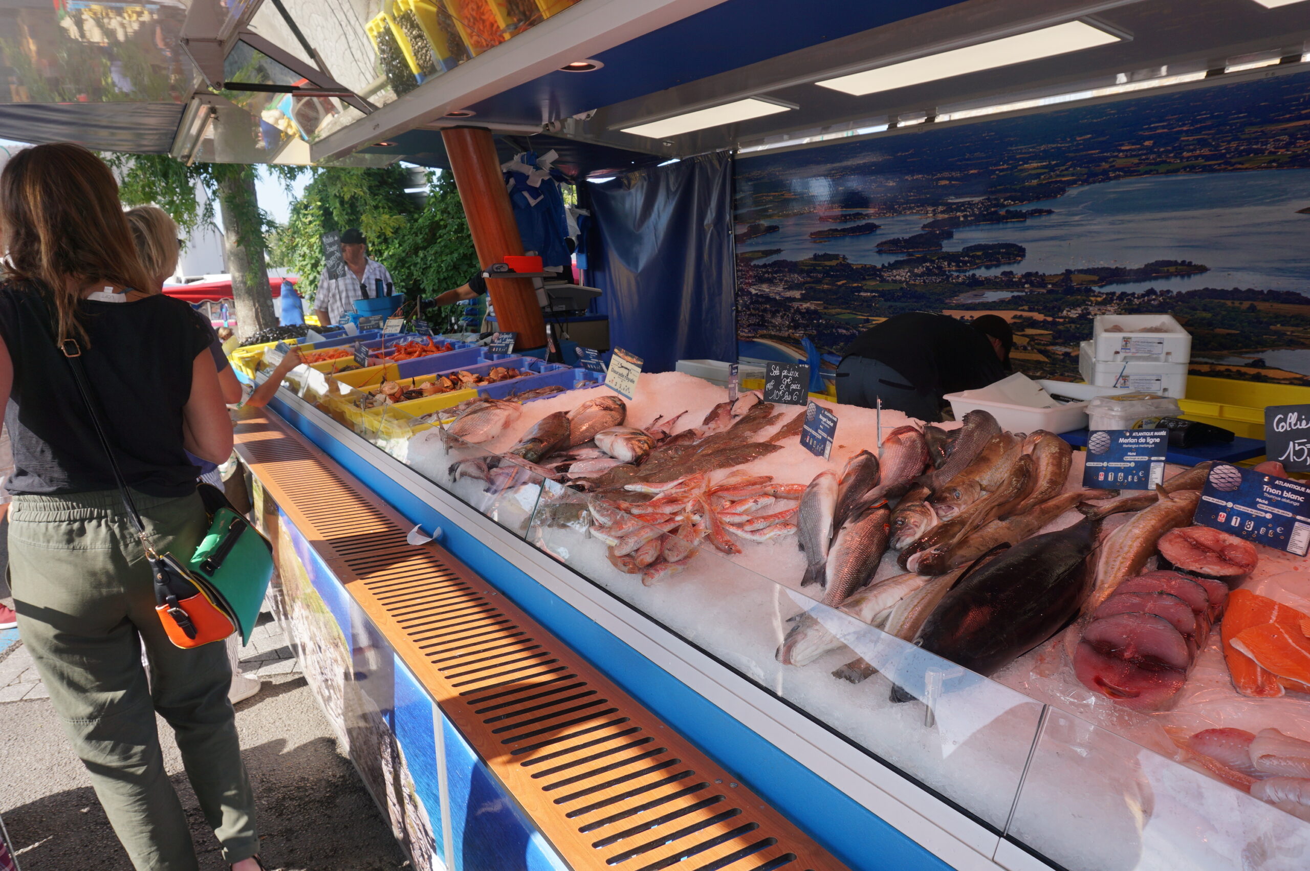 découvrez le marché photo : tendances, équipements et innovations dans l'univers de la photographie. profitez des meilleures offres sur appareils, accessoires et services pour capturer vos moments précieux.