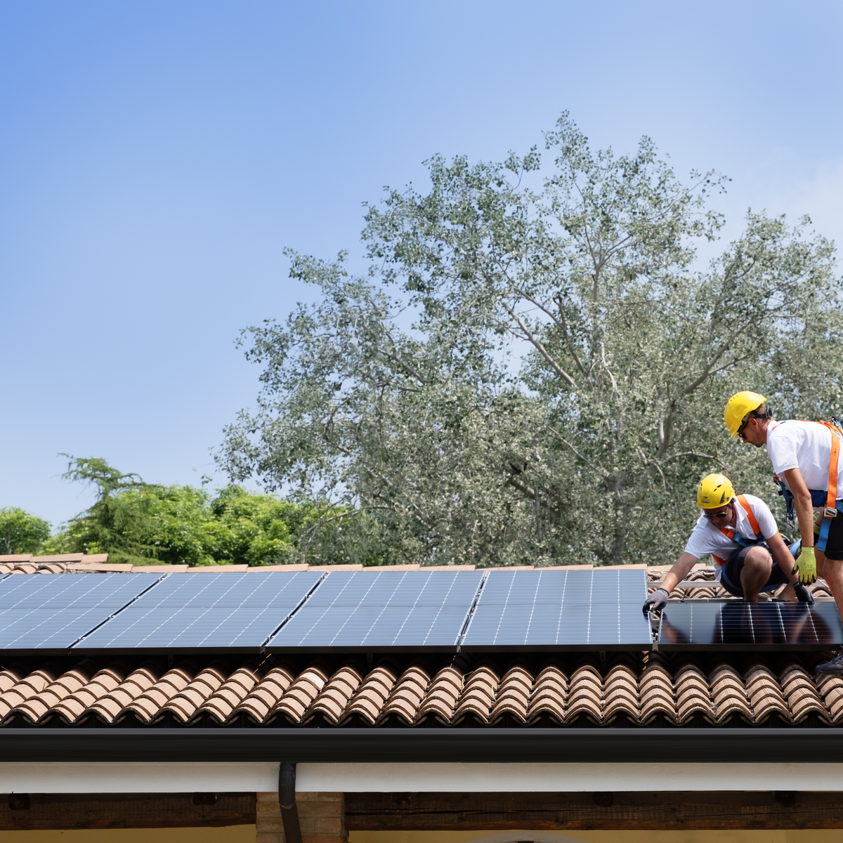 découvrez le maxeon 6, une technologie solaire de pointe offrant une efficacité exceptionnelle et une durabilité inégalée. idéal pour réduire vos factures d'énergie tout en préservant l'environnement, le maxeon 6 révolutionne votre consommation d'énergie grâce à ses performances avancées et son design innovant.