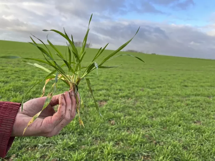 découvrez les prévisions météorologiques adaptées aux besoins des agriculteurs. restez informé des conditions climatiques pour optimiser vos cultures et maximiser vos rendements grâce à notre service de météo agricole.