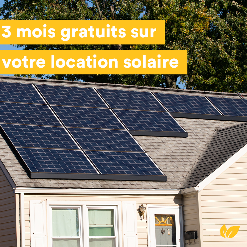 découvrez le monde fascinant du mint solaire : une innovation durable et écologique qui combine énergie solaire et production de menthe. apprenez comment cette technologie révolutionnaire peut transformer votre jardin et améliorer votre écosystème.