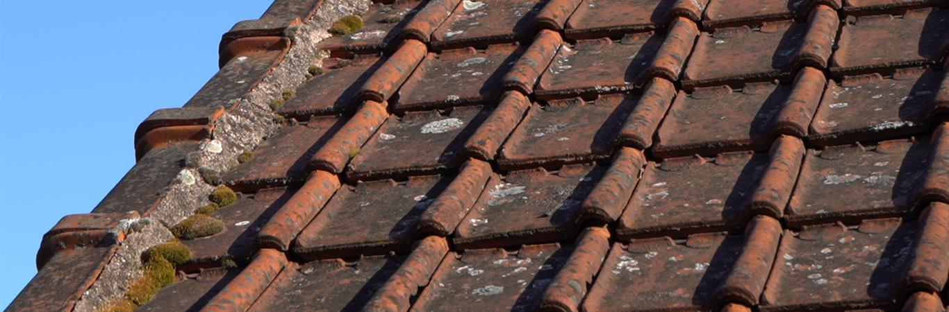 découvrez le forum dédié au nettoyage de toiture, où partagez vos expériences, posez vos questions et trouvez des conseils pratiques pour maintenir votre toiture en parfait état. rejoignez notre communauté d'experts et d'amateurs de bricolage pour échanger sur les meilleures techniques et produits à utiliser.