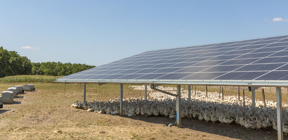 découvrez les avantages des ombres panneaux solaires : une solution innovante pour profiter de l'énergie renouvelable tout en préservant votre espace extérieur. optimisez l'efficacité de votre installation solaire tout en créant des zones d'ombre agréables.