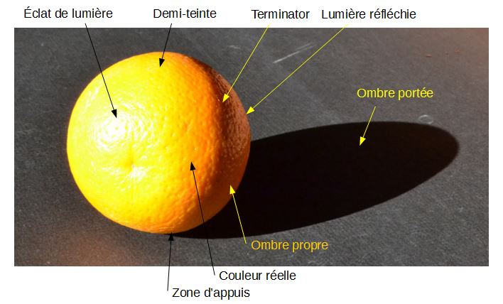 découvrez comment maîtriser l'art de l'ombre portée pour donner de la profondeur et du relief à vos créations. apprenez des techniques simples et efficaces pour sublimer vos illustrations et vos projets artistiques.