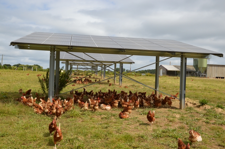 découvrez notre ombrière volaille, la solution idéale pour protéger vos volailles des intempéries tout en optimisant leur confort. fabriquée avec des matériaux de haute qualité, notre ombrière offre une ombre fraîche et une ventilation optimale, garantissant le bien-être de vos animaux. idéale pour les éleveurs soucieux de la santé et du bon développement de leur cheptel.