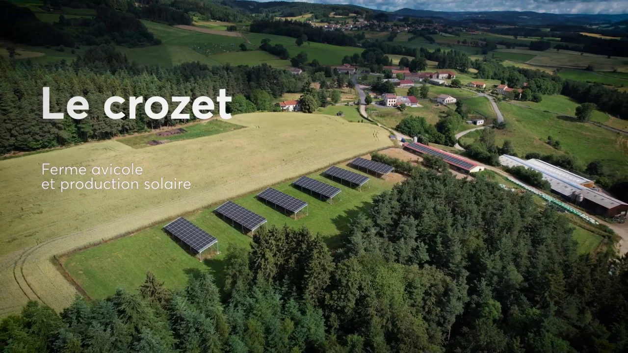 découvrez les avantages de l'ombrière volaille, une solution innovante pour protéger vos volailles des intempéries tout en optimisant leur espace de vie. renseignez-vous sur les matériaux, les dimensions et les bénéfices pour le bien-être de vos animaux.