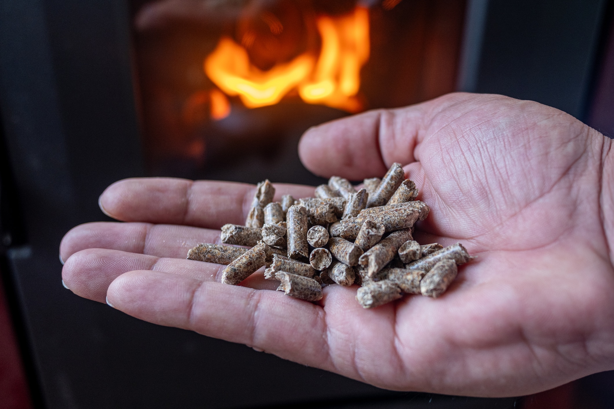 découvrez notre sélection d'onduleurs granule pour optimiser l'alimentation de vos appareils. performants et fiables, ils garantissent une protection optimale contre les coupures et les variations de tension.