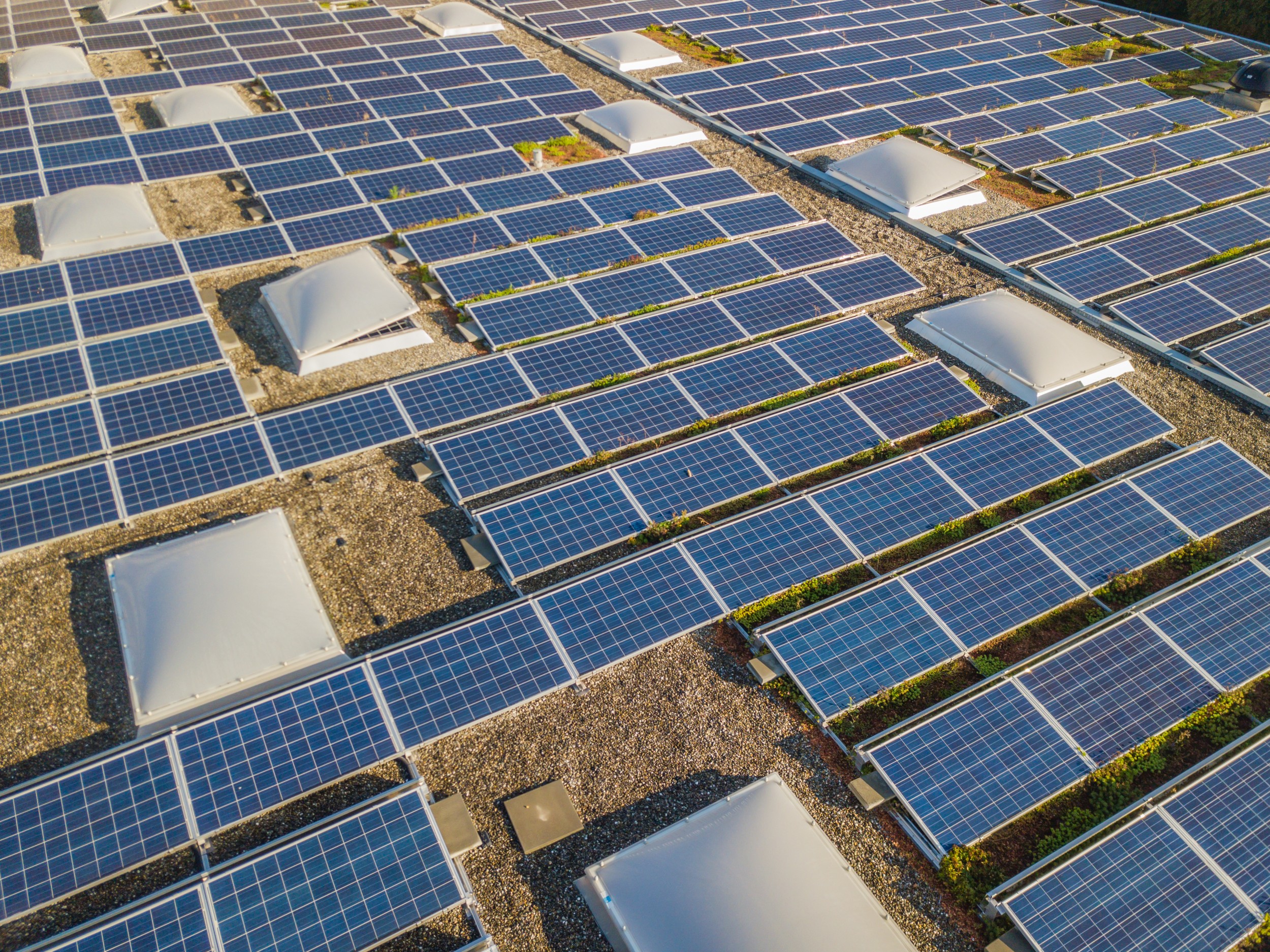 découvrez les outils numériques innovants dédiés à l'optimisation de l'énergie photovoltaïque. que ce soit pour le suivi de la production, l'analyse des performances ou la gestion des installations solaires, explorez nos solutions pour maximiser l'efficacité de votre système photovoltaïque.