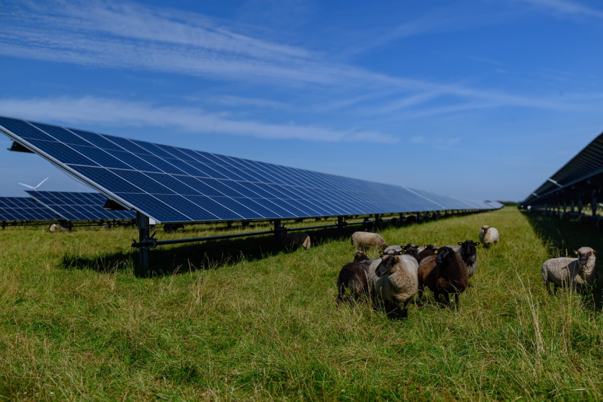 découvrez les avantages des panneaux photovoltaïques en bretagne : une solution écologique et économique pour produire votre propre électricité tout en préservant l'environnement. informez-vous sur les aides disponibles et les installations adaptées à votre région.