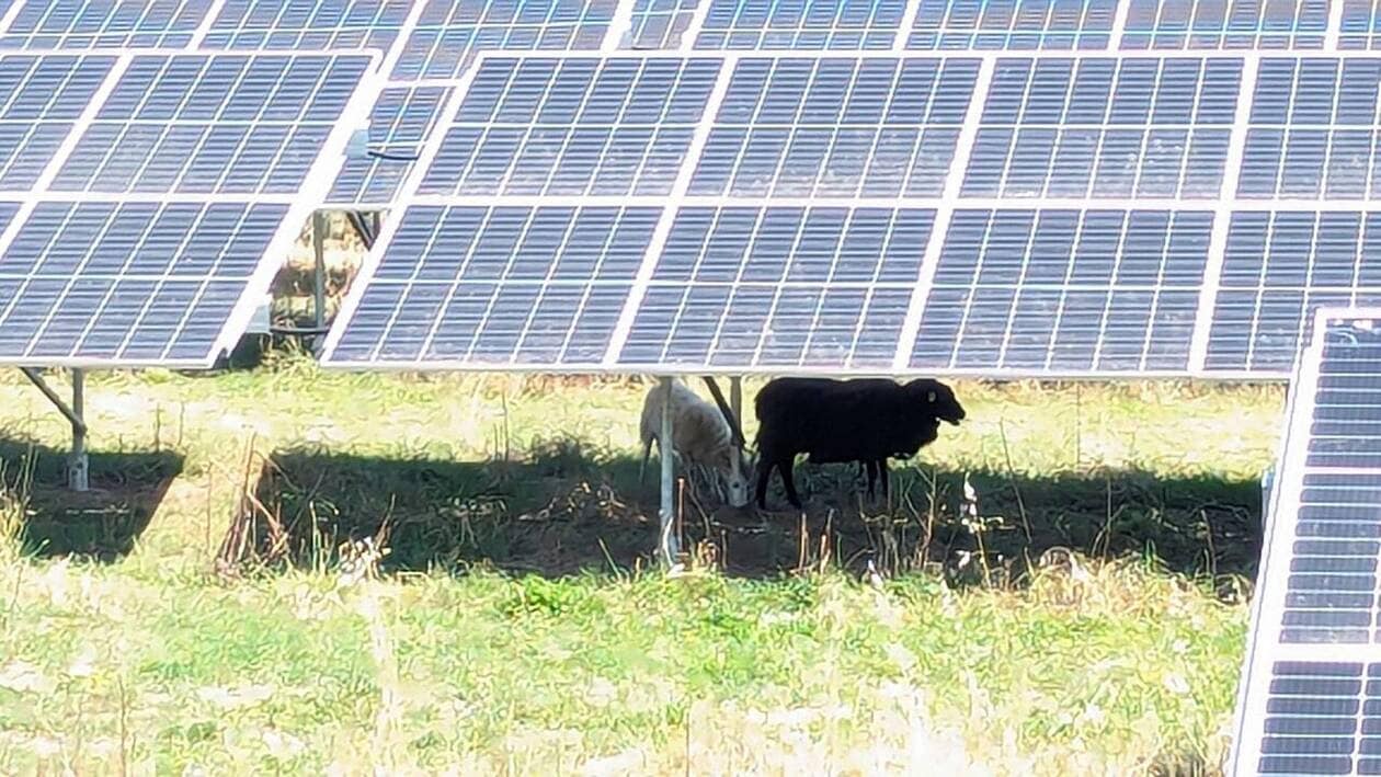 découvrez les meilleures solutions de panneaux photovoltaïques à caen. profitez d'une énergie renouvelable, réduisez vos factures et contribuez à la protection de l'environnement grâce à nos installations de qualité.