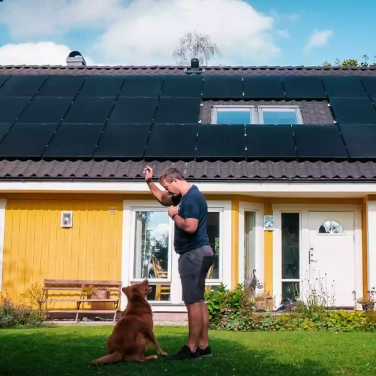 découvrez les panneaux solaires aeg, une solution innovante et écologique pour produire votre propre énergie. profitez d'une performance optimale, d'un design élégant et d'une installation facile pour réduire votre facture d'électricité tout en respectant l'environnement.