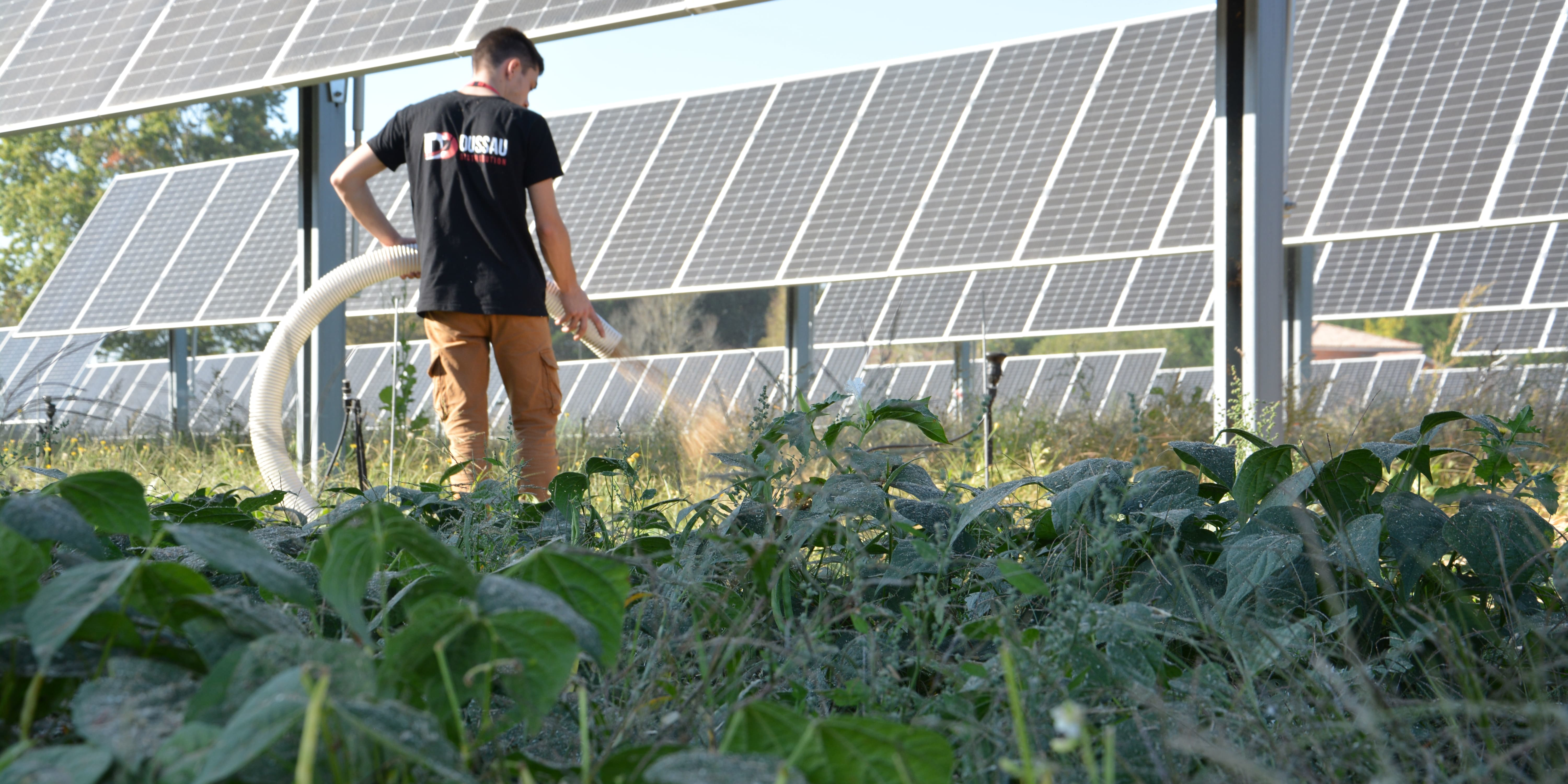 découvrez les avantages du panneau solaire agrivoltaïque, une solution innovante qui allie production d'énergie et agriculture durable. maximisez vos terres tout en préservant l'environnement et en améliorant la rentabilité de vos exploitations agricoles.