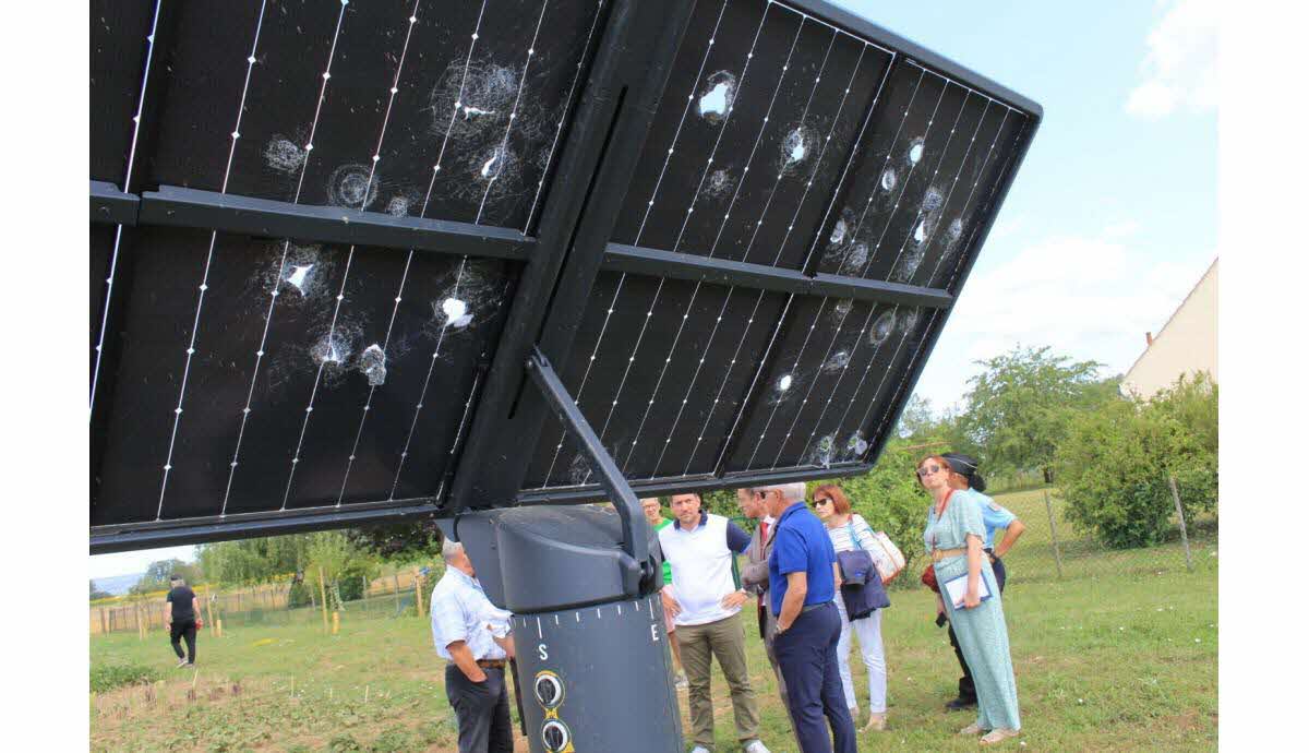 découvrez comment les panneaux solaires résistent à la grêle et maximisent votre investissement énergétique. protégez votre installation tout en bénéficiant d'une énergie renouvelable durable.
