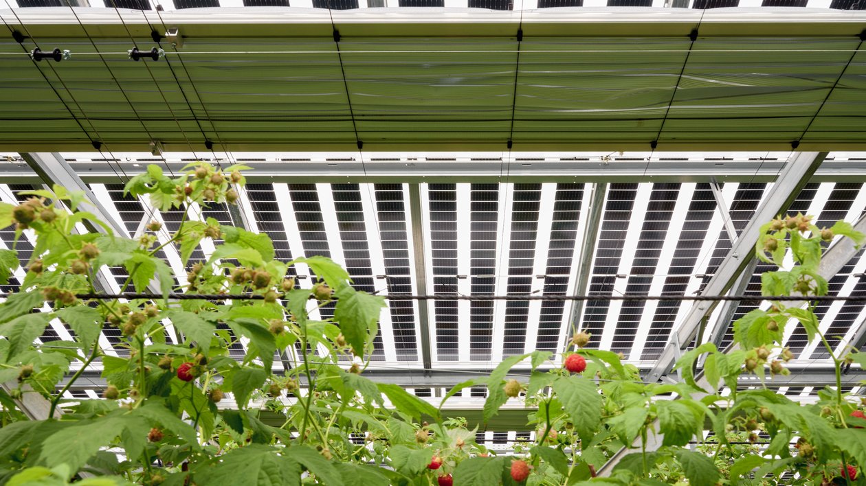 découvrez le panneau solaire insolight, une solution innovante et efficace pour optimiser la production d'énergie solaire. conçu pour résister aux intempéries tout en offrant un design élégant, il s'adapte parfaitement à tous vos besoins énergétiques et contribue à un avenir durable.