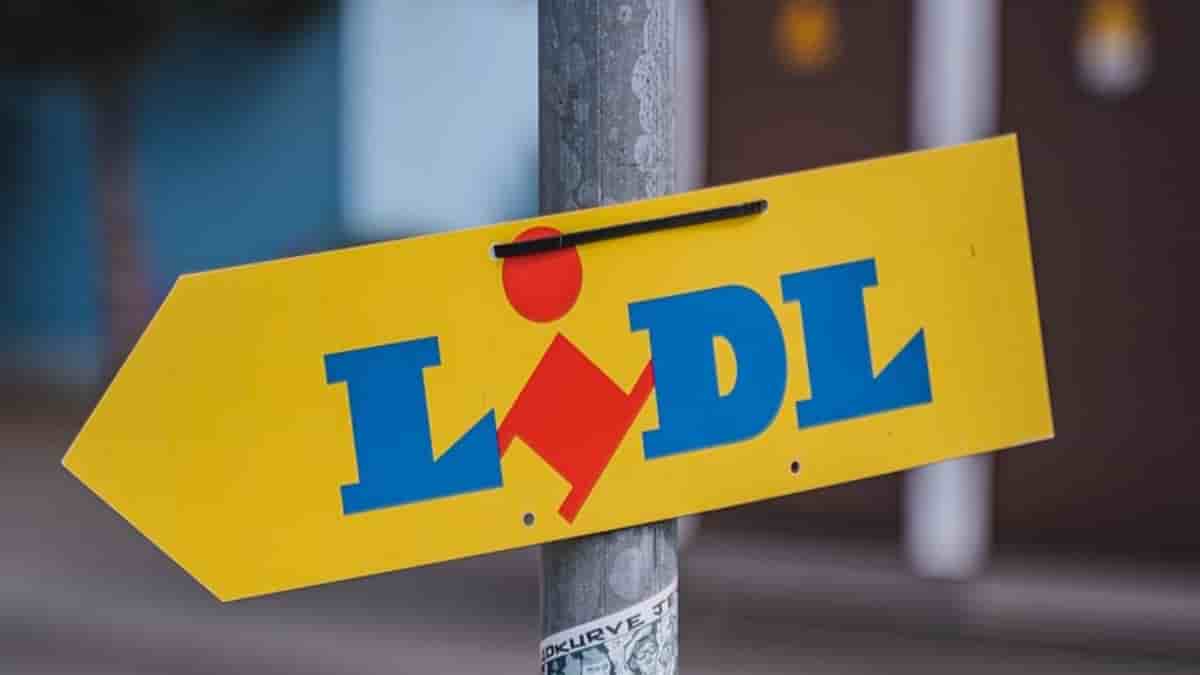 découvrez les panneaux solaires lidl, une solution économique et écologique pour produire votre propre énergie. profitez de produits de qualité, d'offres compétitives et d'un service client dédié pour une transition énergétique réussie.