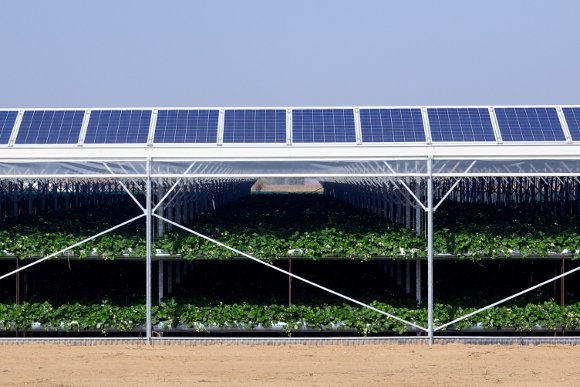 découvrez les avantages des panneaux solaires en belgique : économies d'énergie, respect de l'environnement et solutions adaptées à votre maison. informez-vous sur les options disponibles pour passer à une énergie renouvelable dès aujourd'hui.