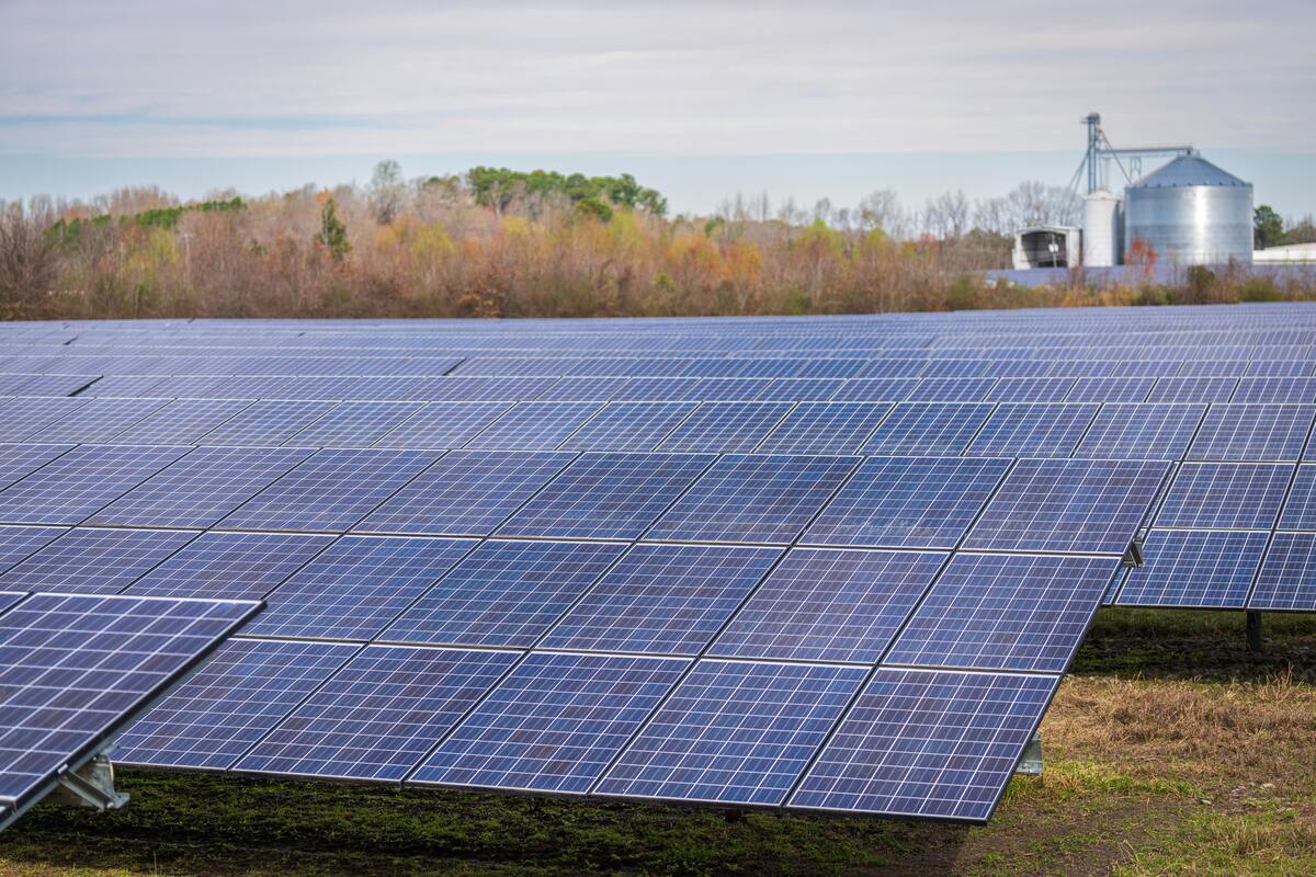 découvrez comment les panneaux solaires peuvent vous aider à réaliser des économies significatives sur vos factures d'énergie. explorez les avantages financiers, les subventions disponibles et les solutions écologiques pour une transition énergétique réussie.