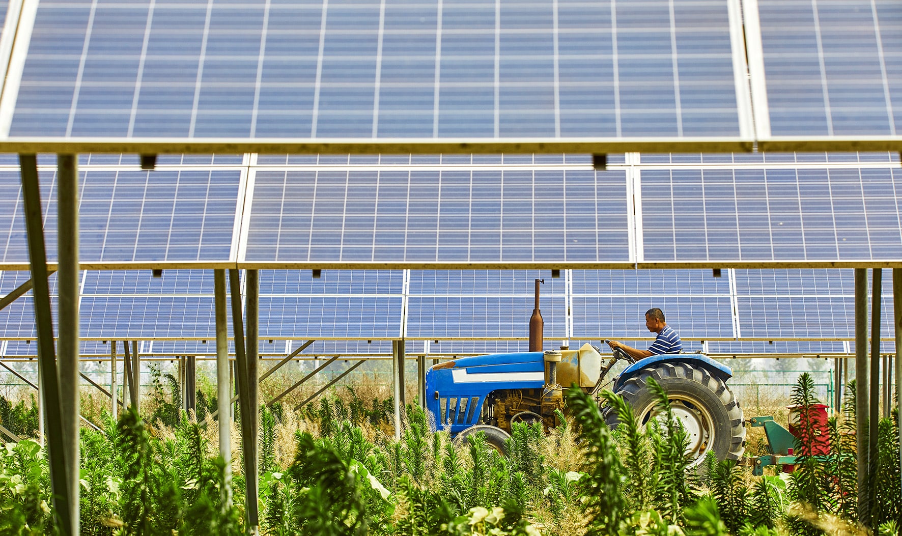 découvrez comment l'intégration de systèmes photovoltaïques dans l'agriculture durable peut révolutionner la production alimentaire. optimisez vos terres tout en réduisant votre empreinte carbone grâce à des solutions énergétiques innovantes et respectueuses de l'environnement.
