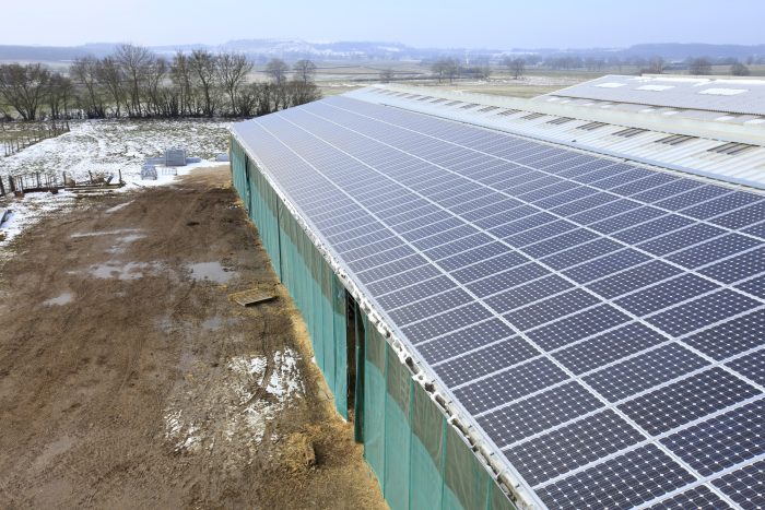 découvrez comment l'installation de panneaux photovoltaïques peut transformer votre élevage en une source d'énergie durable et économique. optimisez vos coûts opérationnels tout en contribuant à la préservation de l'environnement grâce à l'énergie solaire.