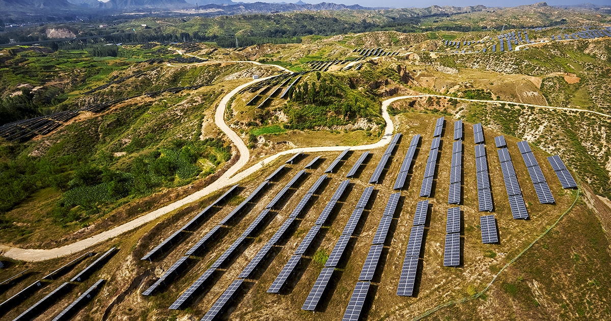 découvrez comment l'énergie photovoltaïque peut coexister harmonieusement avec la biodiversité. explorez les bienfaits de l'intégration des panneaux solaires dans les écosystèmes, favorisant à la fois la transition énergétique et la préservation de la faune et de la flore.