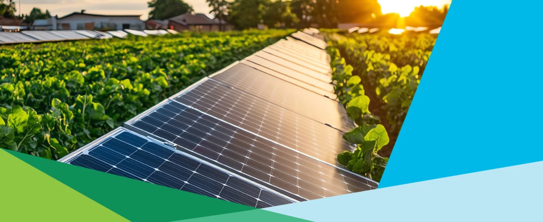 découvrez comment l'énergie photovoltaïque peut contribuer à la préservation de la biodiversité. explorez les synergies entre les installations solaires et les écosystèmes naturels, ainsi que des pratiques innovantes pour un avenir durable.