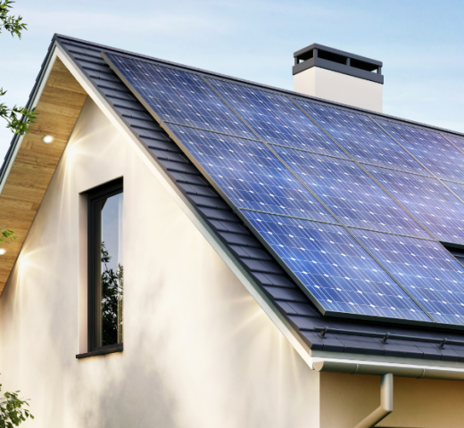 découvrez les dernières informations sur le plan vélo à lyon, ses initiatives, ses itinéraires et comment la ville s'engage pour un avenir durable et cyclable.