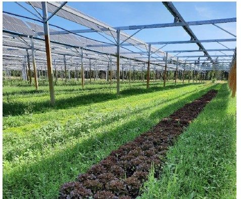 découvrez les solutions photovoltaïques à saint-étienne pour réduire vos factures d'énergie et adopter une approche durable. profitez de l'énergie solaire et faites un geste pour l'environnement grâce à nos services adaptés.