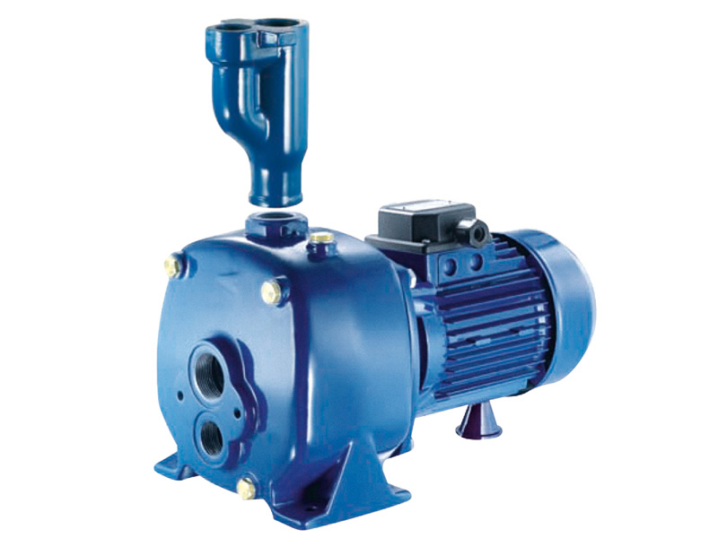 découvrez notre gamme de pompes de puits, spécialement conçues pour garantir un approvisionnement en eau efficace et durable. idéales pour les jardins, les maisons ou les exploitations agricoles, nos pompes allient performance et fiabilité pour répondre à tous vos besoins en irrigation et en approvisionnement en eau.