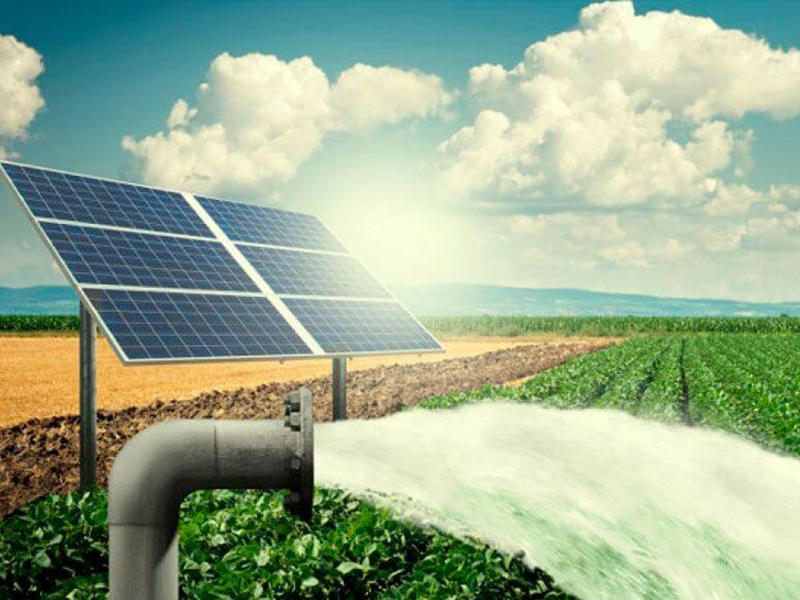 découvrez nos pompes solaires, solutions écologiques et économiques pour l'irrigation, le jardinage et les fontaines. énergie renouvelable et durable pour votre espace extérieur.
